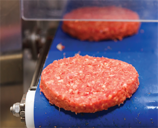 Meat Patty's on food grade endless conveyor system